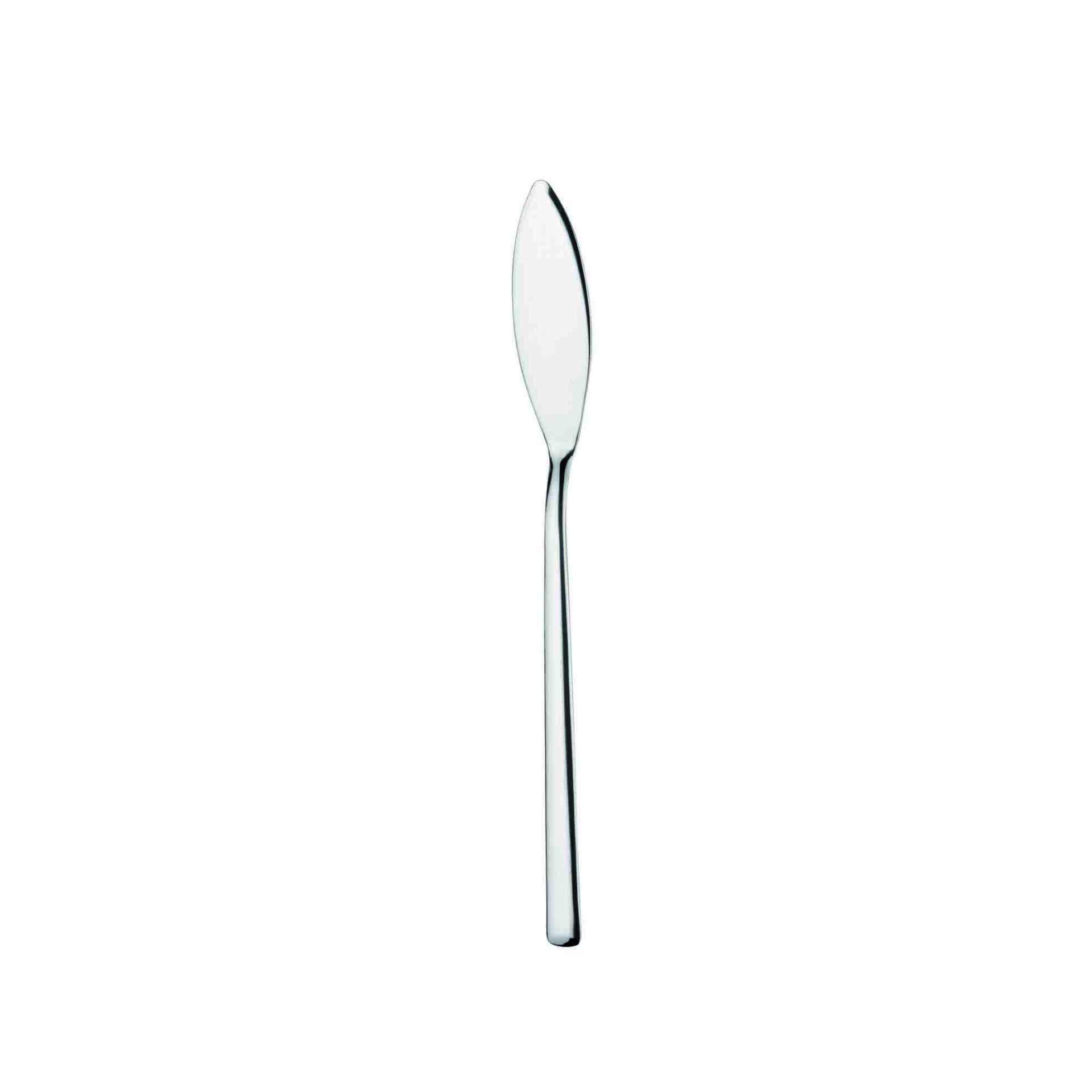 Fischmesser, Pintinox, Synthesis - 20,7 cm