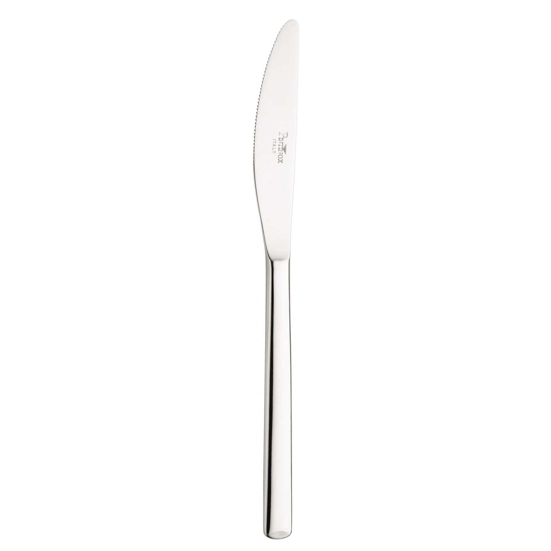 Tafelmesser, Pintinox, Synthesis - 22,5 cm