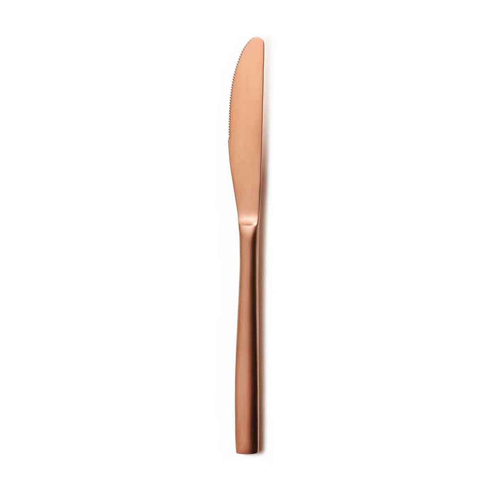 Tafelmesser, Comas, BCN Colors Cobre, Kupfer - 22,1 cm